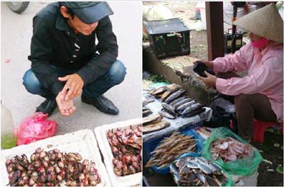 Sự thật về hải sản 