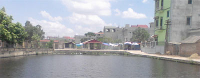 Linh cảm kỳ diệu trong cuộc đoàn viên sau 80 năm thất lạc