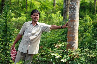 Chuyện chưa kể về 