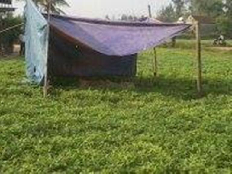 Hà Tĩnh: Phát hiện xác chết trong vườn lạc