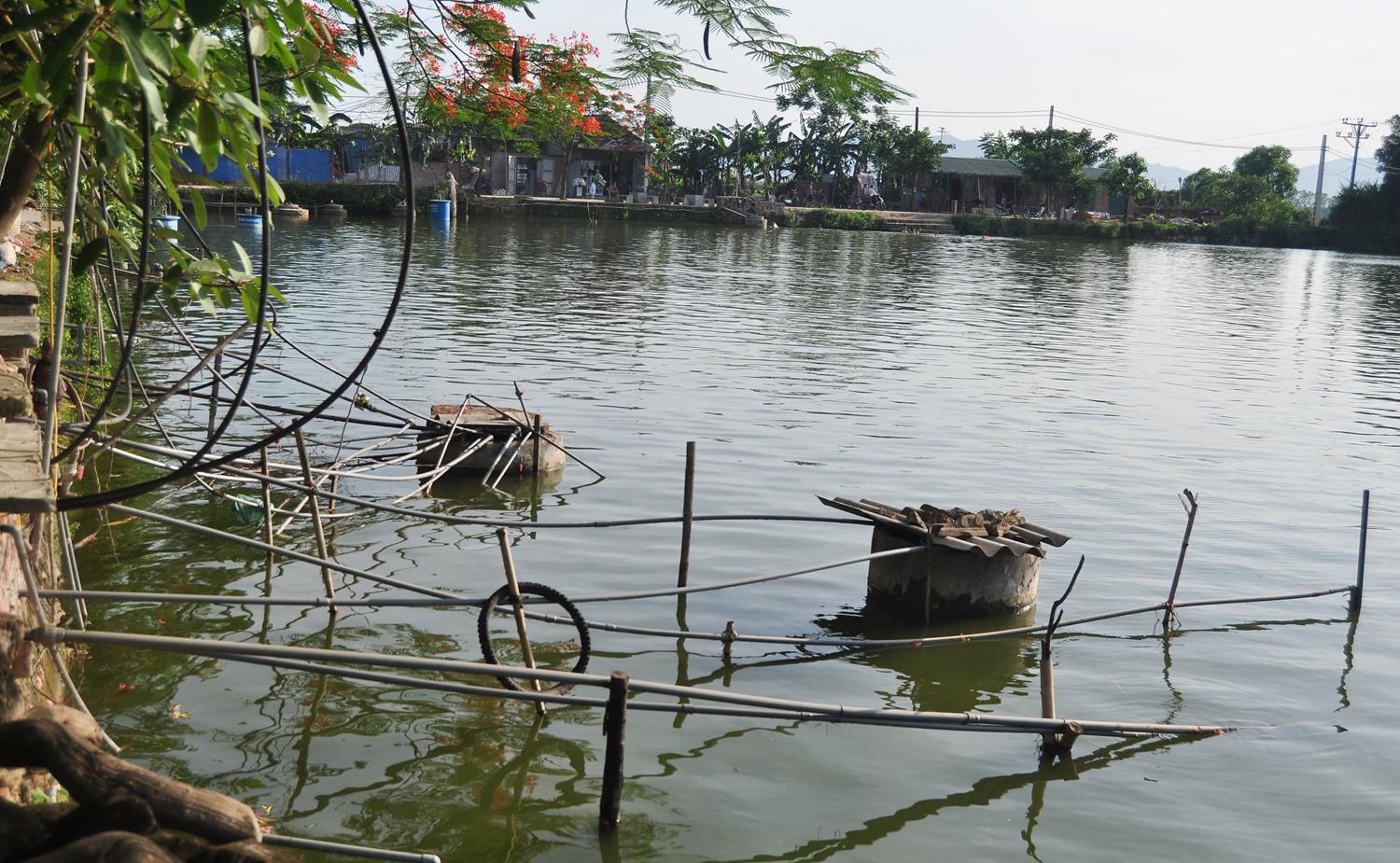 Đau lòng cảnh người dân gánh nước ao về ăn ở Hà Nội