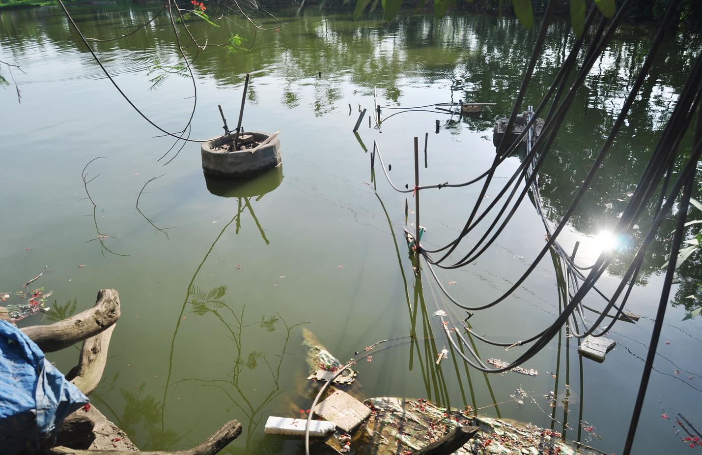 Đau lòng cảnh người dân gánh nước ao về ăn ở Hà Nội