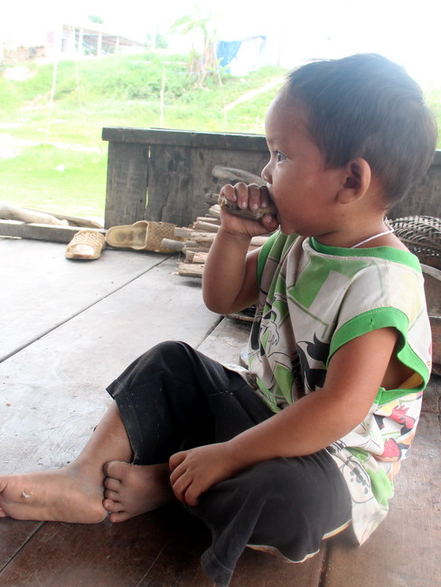 Tha phương trên chính quê hương