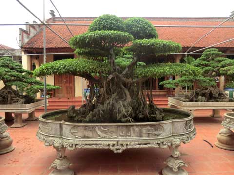 Những thú chơi như ném tiền quả cửa sổ của đại gia Việt