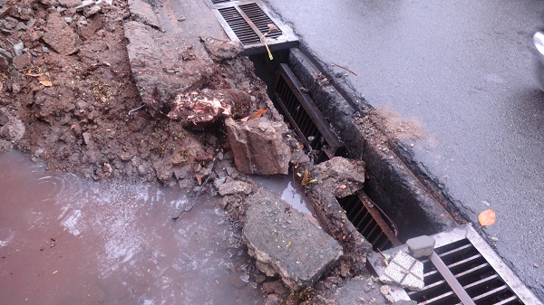 TPHCM: Mưa lớn cây xanh đổ, ngã vào nhà hát Hòa Bình