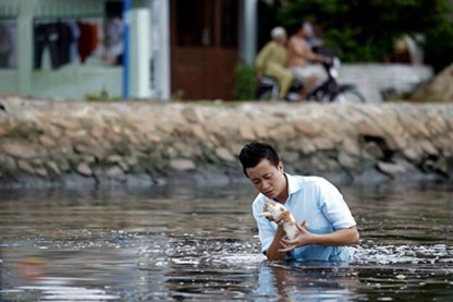 Vừa đi vừa khóc: Đạo diễn Vũ Ngọc Đãng lên tiếng vụ mèo con chết Vừa đi vừa khóc: Đạo diễn Vũ Ngọc Đãng lên tiếng vụ mèo con chết