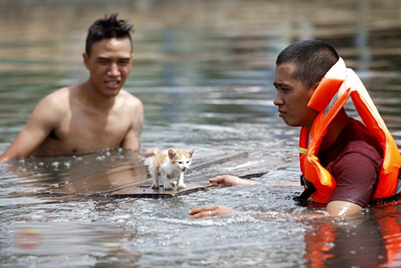 Vừa đi vừa khóc: Đạo diễn Vũ Ngọc Đãng lên tiếng vụ mèo con chết Vừa đi vừa khóc: Đạo diễn Vũ Ngọc Đãng lên tiếng vụ mèo con chết