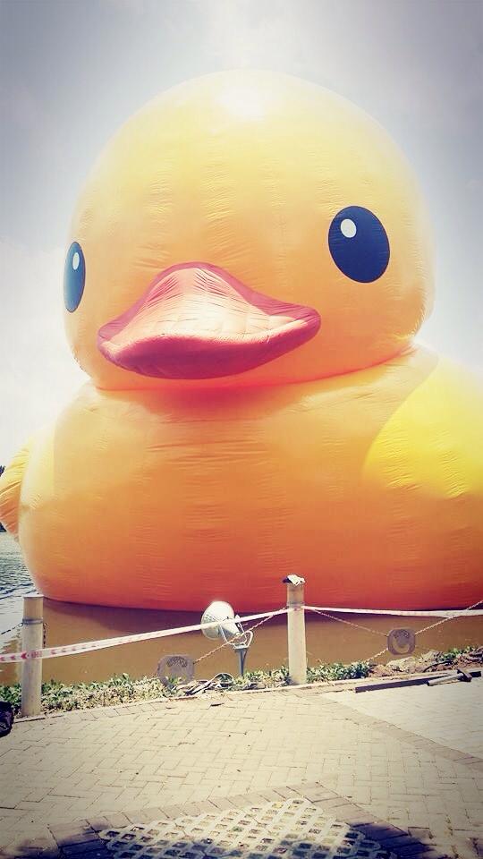 Sao Việt đua nhau Sao Việt đua nhau