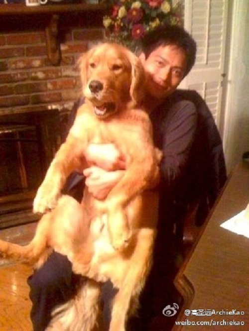 Châu Tấn công khai ảnh người yêu người Mỹ gốc Hoa điển trai Châu Tấn công khai ảnh người yêu người Mỹ gốc Hoa điển trai