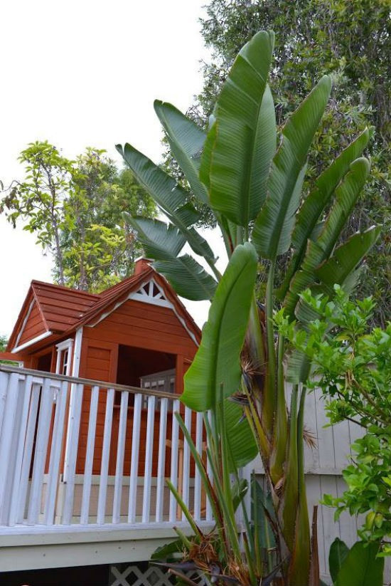 Nơi ăn chốn ở hoành tráng của sao Việt ở trời Tây