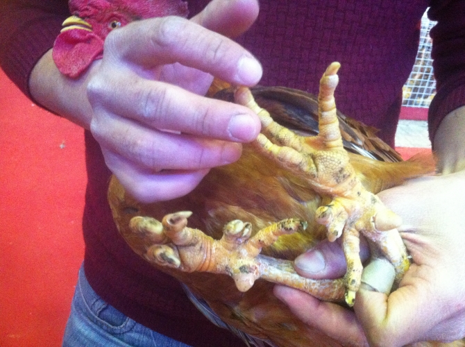 5 “sản vật tiến vua” nức tiếng ở Việt Nam