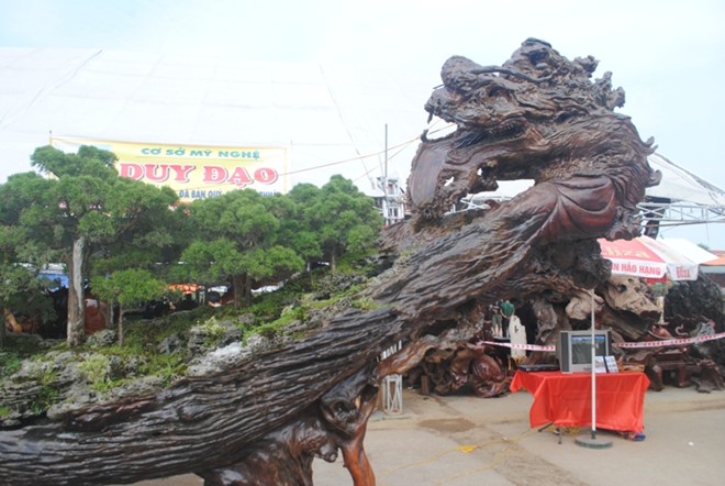 Những cây cảnh thế 