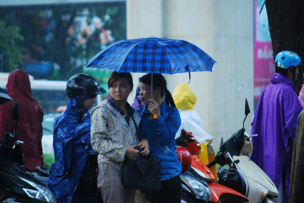 Sinh viên tình nguyện viên hết lòng trợ giúp sĩ tử trong cơn mưa