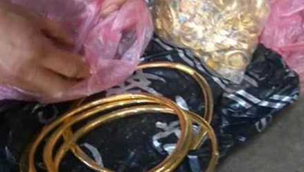 Chôm 1,7 cây vàng chôn vào góc vườn