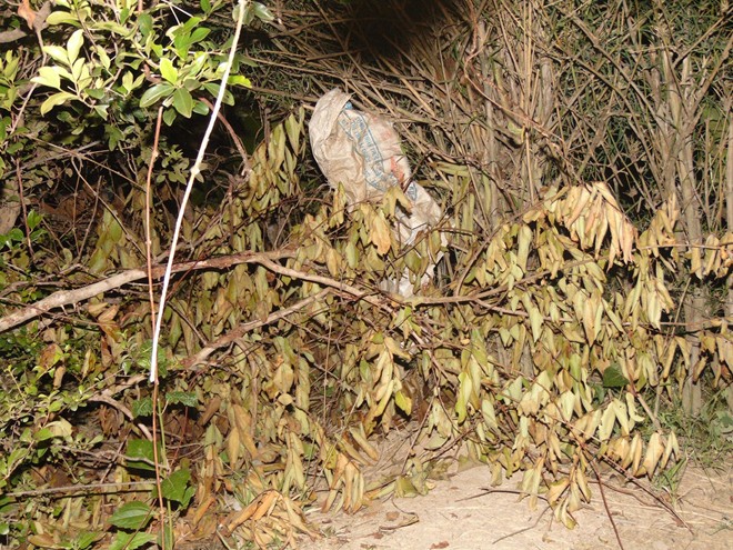 Bé sơ sinh chết vì hủ tục 'được dẫm đạp' của cha