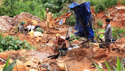 Về nơi đồn trúng đậm 16kg vàng