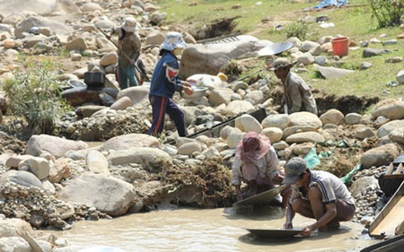 Rộ tin đào được 1,4 kg vàng, núi rừng Tây Trà náo loạn Rộ tin đào được 1,4 kg vàng, núi rừng Tây Trà náo loạn