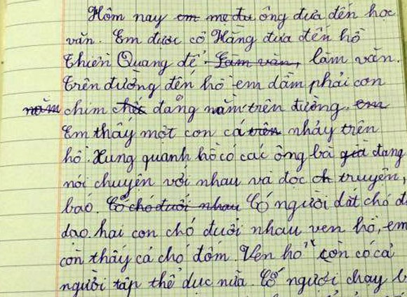Phì cười với bài văn tả 'trên đường đi học em dẫm phải con chim' Phì cười với bài văn tả 'trên đường đi học em dẫm phải con chim'