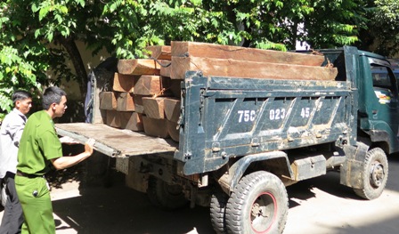 Huế: Bắt giữ 2 xe biển số đẹp chở gỗ trái phép