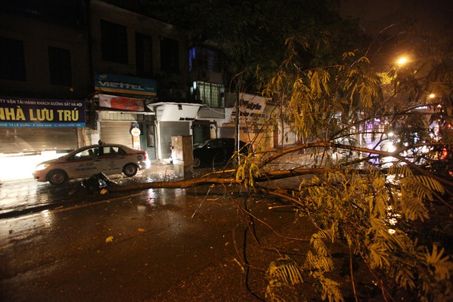 Mưa lớn trong đêm, cây đổ hàng loạt ở Hà Nội