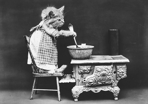 Chùm ảnh những chú chó và mèo tái hiện cuộc sống con người.