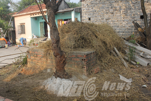 Thực hư chuyện yểm trinh nữ giữ kho báu ở mộ cổ khổng lồ