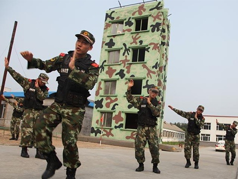 'Bài ca quả táo' khuấy đảo Trung Quốc