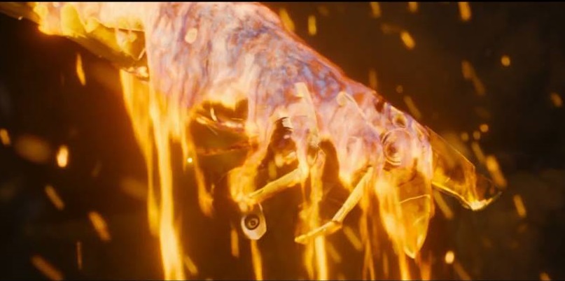 Những cái nhìn đầu tiên về Avengers 2