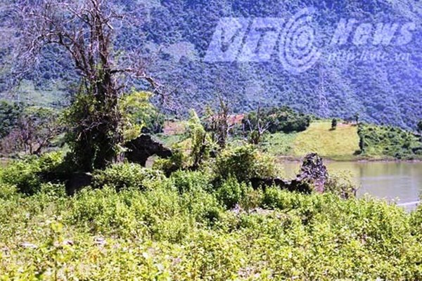 Thực hư kho báu vua Thái chìm dưới lòng hồ sông Đà