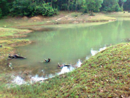 Nghệ An: Nghi vấn vụ học sinh lớp 9 treo cổ trong vườn tràm Nghệ An: Nghi vấn vụ học sinh lớp 9 treo cổ trong vườn tràm