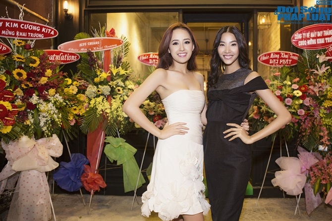 Khám phá gia tài bạc tỷ của Mai Phương Thúy