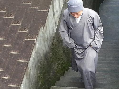 “Quốc bảo” Trung Quốc bất ngờ đi tu