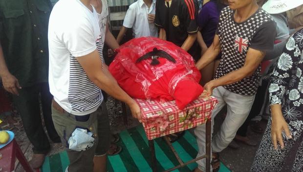 Xôn xao chú chim tiếc thương không rời xác rùa thần