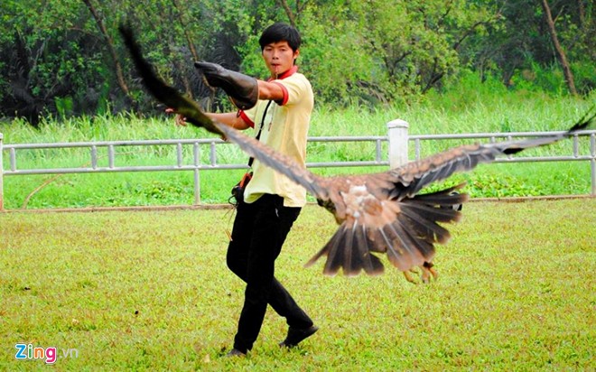 Cặp song sinh 9X nuôi đại bàng giá trên 200 triệu/con