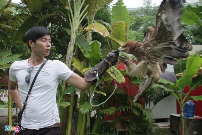 Cặp song sinh 9X nuôi đại bàng giá trên 200 triệu/con