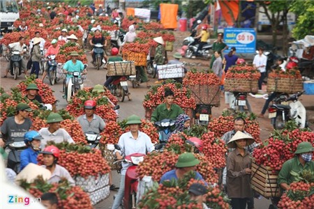 Hàng nghìn xe chở vải làm ùn tắc quốc lộ