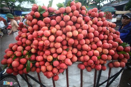 Hàng nghìn xe chở vải làm ùn tắc quốc lộ