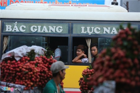 Hàng nghìn xe chở vải làm ùn tắc quốc lộ