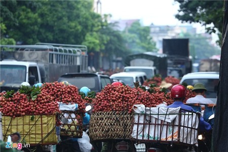 Hàng nghìn xe chở vải làm ùn tắc quốc lộ