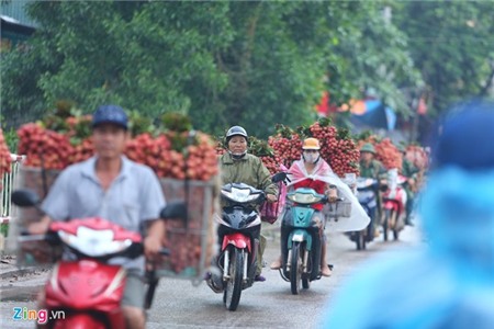 Hàng nghìn xe chở vải làm ùn tắc quốc lộ
