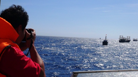 Từ Hoàng Sa: Đội hình tàu lạ của TQ