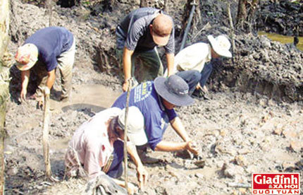 Hơn 1000 ngày xới ruộng tìm kho báu của vương quốc Phù Nam