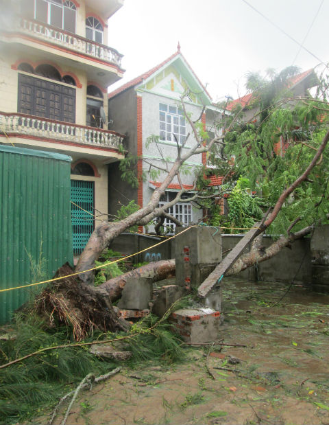 Khung cảnh tan hoang sau khi bão Thần Sấm quét qua