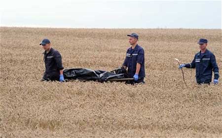 Kinh hoàng cướp xác, hôi của vụ máy bay MH17 Kinh hoàng cướp xác, hôi của vụ máy bay MH17