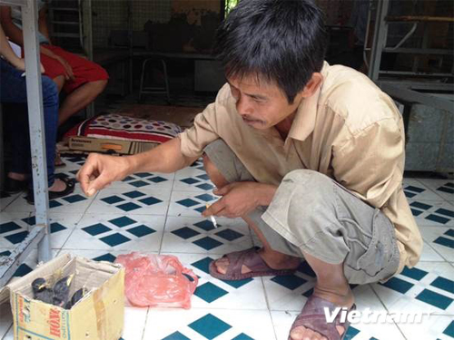 Mang chim rừng làm 'lộ phí' đưa con đi thi Mang chim rừng làm 'lộ phí' đưa con đi thi
