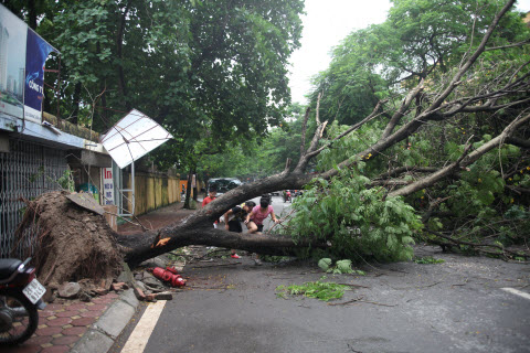 Đổ cây đứt dây điện một thanh niên bị điện giật tử vong