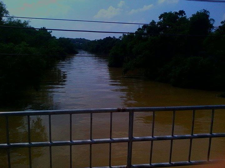 Cụ ông 85 tuổi bất ngờ nhảy cầu tự vẫn