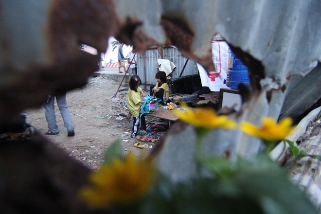 Cuộc sống của ba bố con trong túp lều trước tòa cao ốc