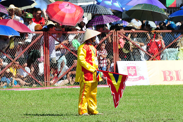 Những hình ảnh ấn tượng của Lễ hội Chọi trâu Đồ Sơn 2014