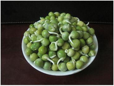 Giải pháp cho bộ ngực căng tròn quyến rũ